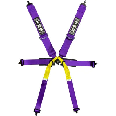 TRS \'Pro\' 6 Point Single Seater FIA Harness