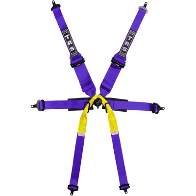 TRS Pro Superlite 6 Point Single Seater FHR Only FIA Harness