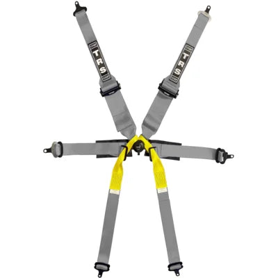 TRS Pro Superlite 6 Point Single Seater FHR Only FIA Harness