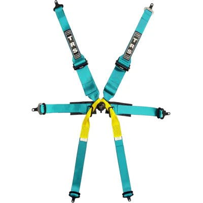 TRS Pro Superlite 6 Point Single Seater FHR Only FIA Harness