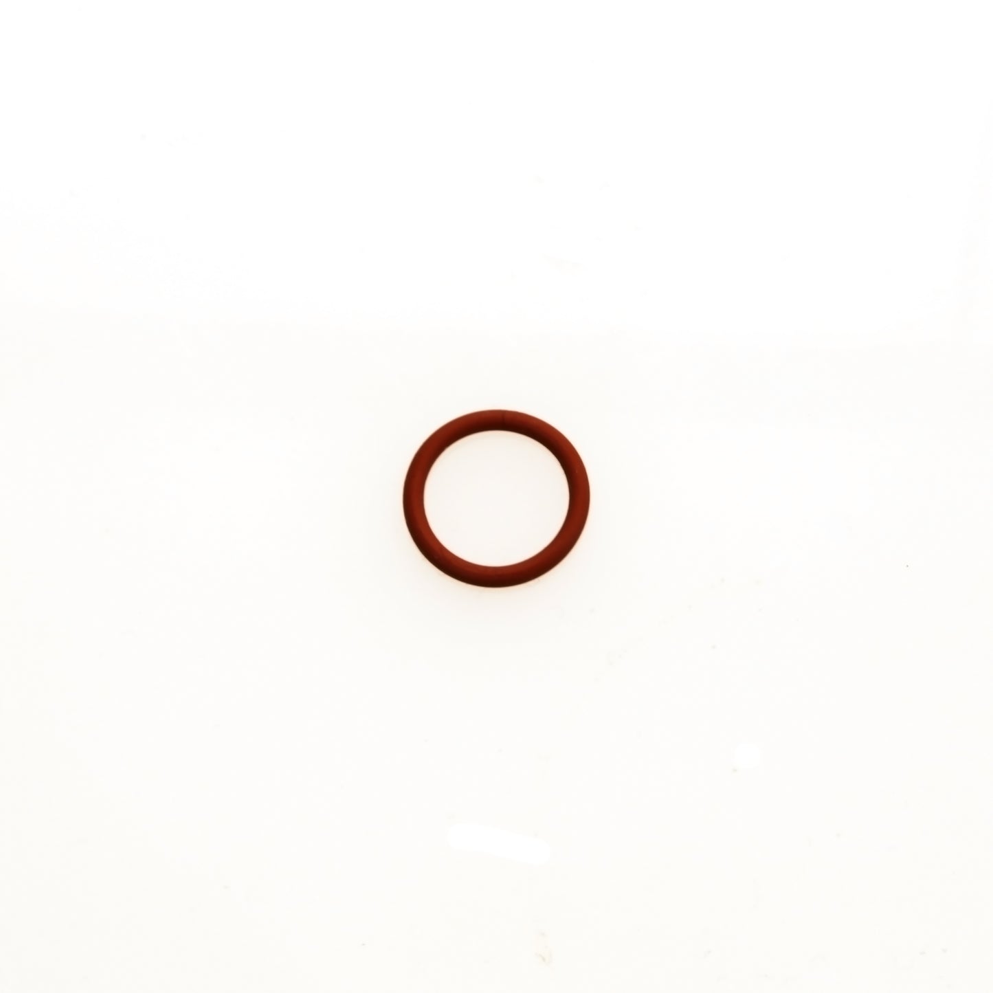 WG Valve Guide O Ring