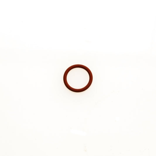 WG Valve Guide O Ring