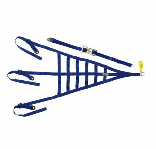 TRS Roll Cage Safety Net - Blue